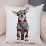 Armas lemmikloomade padjap&uuml;&uuml;r Dekoratiivne armas kutsika chihuahua padjap&uuml;&uuml;r Pehme pl&uuml;&uuml;sist padjap&uuml;&uuml;r autodiivanile koju 45x45cm 40x40cm