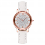 Naiste mitmev&auml;rviline Rooma skaala kvartsist k&auml;ekell All Star Watch OneSize valge