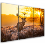 Kolmeosalise pildiga l&otilde;uendiprint Deer Forest Sunset 60x40 oranž