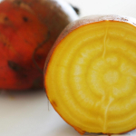 30 kollase peedi seemet - vanad aiak&ouml;&ouml;giviljad - paljundatavad talupojaseemned - Semiwild