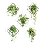 3D erksad rohelised taimed v&otilde;rega seinakleebis Eemaldatav isetegemine roheliste lehtedega seinakleebis Kodukaunistused Seinamaalingud Paberkaunistus magamistoas Elutuba Vannituba 85*105cm