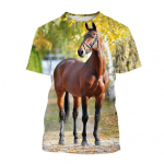 Suvemood Animal Horse graafilised t-s&auml;rgid Trend Fun Meeste vabaaja hiphopi isiksusega tr&uuml;kitud &uuml;markaelus T&auml;navar&otilde;ivad T-s&auml;rgid Topid 6XL
