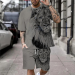Suures suuruses 3D Lion Print meeste lahedate T-s&auml;rkide l&uuml;hikeste p&uuml;kste komplekt Sportimiseks, fitnessiks Summer Street Style Oversized Graphic 2 tk Meeste riided S