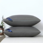 48x74cm Kokkuvajumiskindlad Hotellipadjad (Paari) - Toetav kaelal&uuml;lidele, Ideaalne koju v&otilde;i kingituseks 600g Low Pillow (Single) hall v&auml;rv