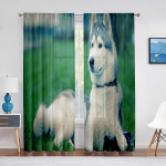 Talvine Lumi Husky Koer Armas Loom Kutsikas &Otilde;hukesed Voile Kardinad Elutuppa Magamistuppa K&ouml;&ouml;gi Dekor Chiffon T&uuml;ll Aknakardinad 1 PCS W100XH250cm&Grommet Top