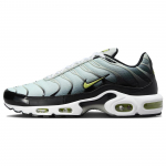 Nike Air Max Plus Bright Cactus DM0032-006 40.5