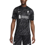 Nike Liverpool FC Stadium V&auml;ravavahi Meeste Nike Dri-FIT Jalgpalli Kordus L&uuml;hikeste Varrukatega S&auml;rk FN8802-061 L