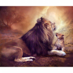T&auml;is&uuml;mmargused teemanttikandid Lion Families 5D DIY teemantmaaling Ristpistes kividekoor 20X30CM