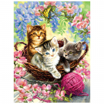 Armas Cat 5D teemanttikandid t&auml;isringi teemantmaalimiseks 20X30CM