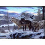 Teemantmaal 5D Wolf Broderie teemantmultifilm Teemanttikandid Ristpistes kodukaunistus 20X30CM