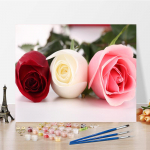 DIY maalimine numbrite j&auml;rgi Digitaalne &otilde;limaal Hobid Kujutav kunst &Otilde;limaal Kodukaunistuse numbrid &Otilde;limaal Numbrite maalimine 40x50cm no frame