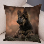 Saksa lambakoera padjap&uuml;&uuml;r Superpehme l&uuml;hike pl&uuml;&uuml;sist padjakate diivanile kodu padjap&uuml;&uuml;r Decor Lemmikloom 45*45cm katted 45*45cm