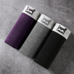 MiiOW 4Tk Grafeen Meeste Aluspesu Meeste Puhaspuuvillast Bokserid Hingavad Lamedad L&uuml;hikesed 4XL Bokserid L