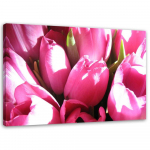 L&otilde;uendiprint Tulips Pink Flower 60x40 roosa