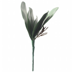 Kunstlik v&otilde;ltsleheline miniorhidee roheline taim Siidililled P&otilde;hjamaade kodukaunistus