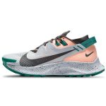 Nike Pegasus Trail 2 Arbuus Naiste Tossud Hall Football-Grey Iron-Grey CK4309-004 36