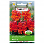 K&auml;&auml;bus-snapdragon Portose lilleseemned 0,5g aeda