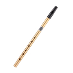 Iiri vile fl&ouml;&ouml;t C/D klahv Iirimaa Tin Penny Whistle 6 auguga fl&ouml;&ouml;tinstrument C Key h&otilde;be