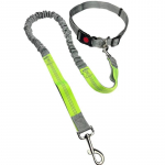 Lemmiklooma jalutusrihm Multifunktsionaalne koera jalutusrihm Veniv elastne Plahvatuskindel L&ouml;&ouml;gikindel V&auml;ljas Jooksmine Koera Jalutusrihm roheline