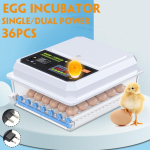36 munad 220 V kana automaatsed munad inkubaator linnuvuttide haudefarm haudejaama inkubaator brooder masinmunade haudeseadmed 2*Batteries white