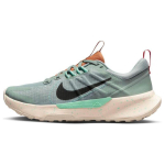 Nike Juniper Trail 2 Next Nature Mica Green Emerald Rise Amber Brown Sequoia Naiste tossud DM0821-301 38.5 gray