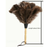 Sulepuhasti Puidust K&auml;epidemega Puhasti Antistaatiline Tolmu eemaldamise Puhastajad Jaanalinnu Sulepuhasti Sulekarvaharja Kodu Puhastusvahendid valge