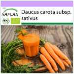 SAFLAX &ndash; Orgaaniline &ndash; Porgand &ndash; Varajane Nantes &ndash; 1500 seemet &ndash; Daucus carota