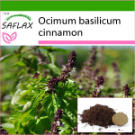 SAFLAX - Kaneeli basiilik - 200 seemet - Potisubstraadiga paremaks kasvatamiseks - Ocimum basilicum