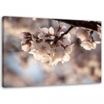 L&otilde;uenditr&uuml;kk Cherry Blossom Nature 60x40 roosa
