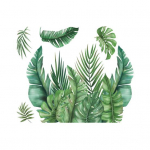 1 lehe tualettruumi kleebis isekleepuv veekindel, j&auml;ljeta, rohelised taimelehed, seinamaaling, kleebis. Vannitoa tualettruumi sisustus 30cm