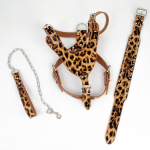 Naastud nahast koerarakmed, needid kaelarihma ja jalutusrihma komplekti keskmise suurusega koertele S 43-51CM