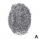 Pika varrega veeharja peakate autopesuhari pl&uuml;&uuml;sis asenduskate mopiharja kattelapp sinine