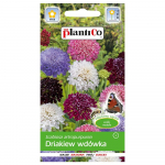 Drakiew wd&oacute;wka lilleseemnete segu 0,5g aia jaoks