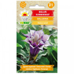 Datura Surmiflower Ballerina seemned 0,2g lilled aeda