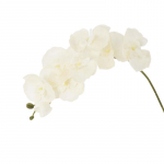 8pead kunstlik liblikas orhidee lill kodutoa aiakaunistamiseks DIY pulmakimp Real Touch siidist Phalaenopsis taim punane