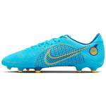 Nike Mercurial Vapor 14 Academy FG MG Must Raudhall Meeste Tennised DJ2869-484 42.5