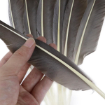 50 tk naturaalseid hane sulgi DIY ehete valmistamiseks 25-35 cm / 10-13 tolli naturaalsed suled pulmapidude k&auml;sit&ouml;&ouml;kaunistuseks 25-35 CM looduslik