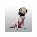 COLLIER BITE FREE XL
