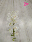 &Uuml;ks Lateks Liblik&otilde;ie Lilled 9 &Otilde;it T&otilde;eline Puudutus Hea Kvaliteet Kunstlik Phalaenopsis Orchid beež