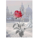 T&auml;ielik 5D Teemantmaaling Lumeroos Tikand Ristpistes Kodukaunistus K&auml;sitsi valmistatud kingitus 25x30cm