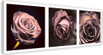 L&otilde;uendiprint Rose Panorama 90x30 roosa