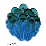 Looduslikud faasanisuled Paabulinnusuled Kotkas V&auml;ike n&auml;ss K&auml;sit&ouml;&ouml; Aksessuaarid Ehted Looming P&uuml;hadekaunistus 100Pcs