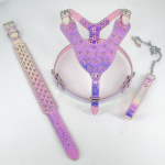 Naastud nahast koerarakmed, needid kaelarihma ja jalutusrihma komplekti keskmise suurusega koertele S 43-51CM