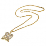 Meeste hiphopi keerdkett kivist number 100 ripatsiga kaelakee t&auml;navaehted