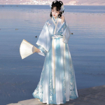Hiina Wei ja Jin d&uuml;nastia stiilis Hanfu tikitud v&ouml;&ouml;kohani seelik&uuml;likond naistele L