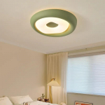 Moodne LED laevalgusti roheline pindpaigaldatav laelamp magamistuppa, elutuppa, hele paneelvalgusti roheline