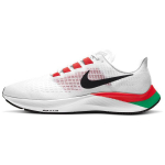 Nike Air Zoom Pegasus 37 Kenya Meeste Tossud Valge T&scaron;iili-Punane &Otilde;nnelik-Roheline DD9478-100 41