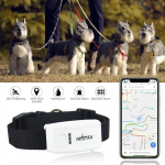 GPS-j&auml;lgija Lemmikloom 2G GSM Kaelarihma ja Tasuta Rakendusega J&auml;lgimine Veekindel IP67 Koerale Kassile valge