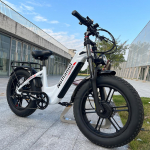 Nathaniel SYR08 Linna E-jalgratas, Kahe mootoriga 2000W, 20x4.0 Integreeritud ratas, 48V20AH, Kiirus 50+, Lume-/liivamaa V&auml;ljas&otilde;it 2000W(dual motors)  48V 20Ah (actual 17.5Ah） valge