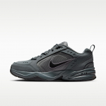 Nike Air Monarch IV 'Tumehall Must' 39